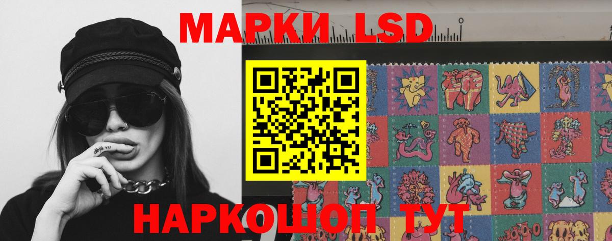 Кингисепп  LSD-25 экстази кислота  Лсд 25 экстази кислота  Вход с VPN 