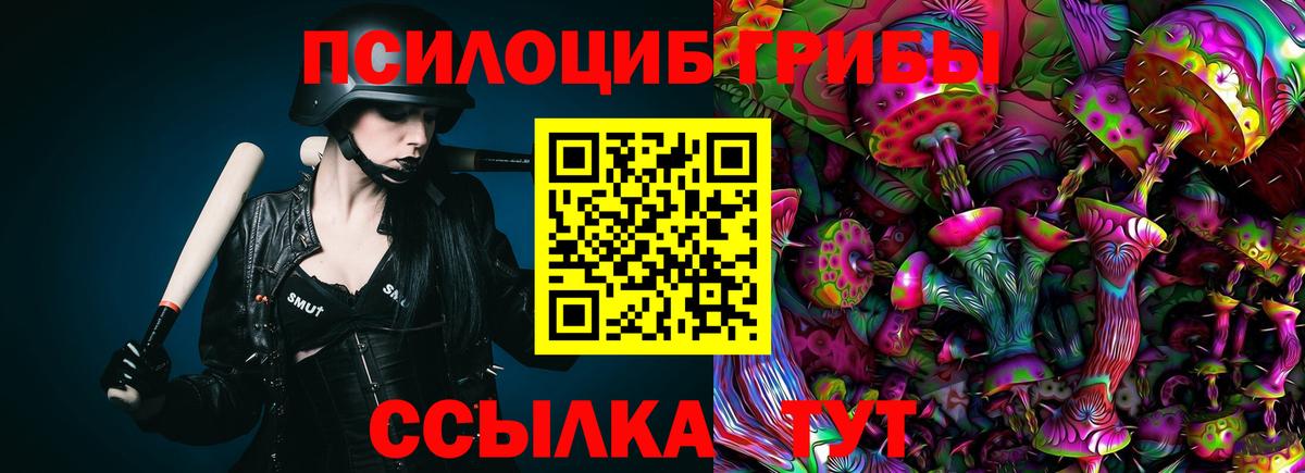 Галлюциногенные грибы GOLDEN TEACHER  Вход с VPN  Кингисепп 