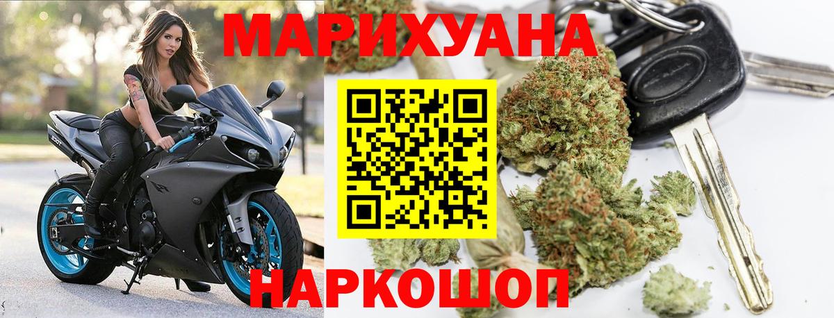 Конопля план  Бошки Шишки конопля  Кингисепп  Вход с VPN 